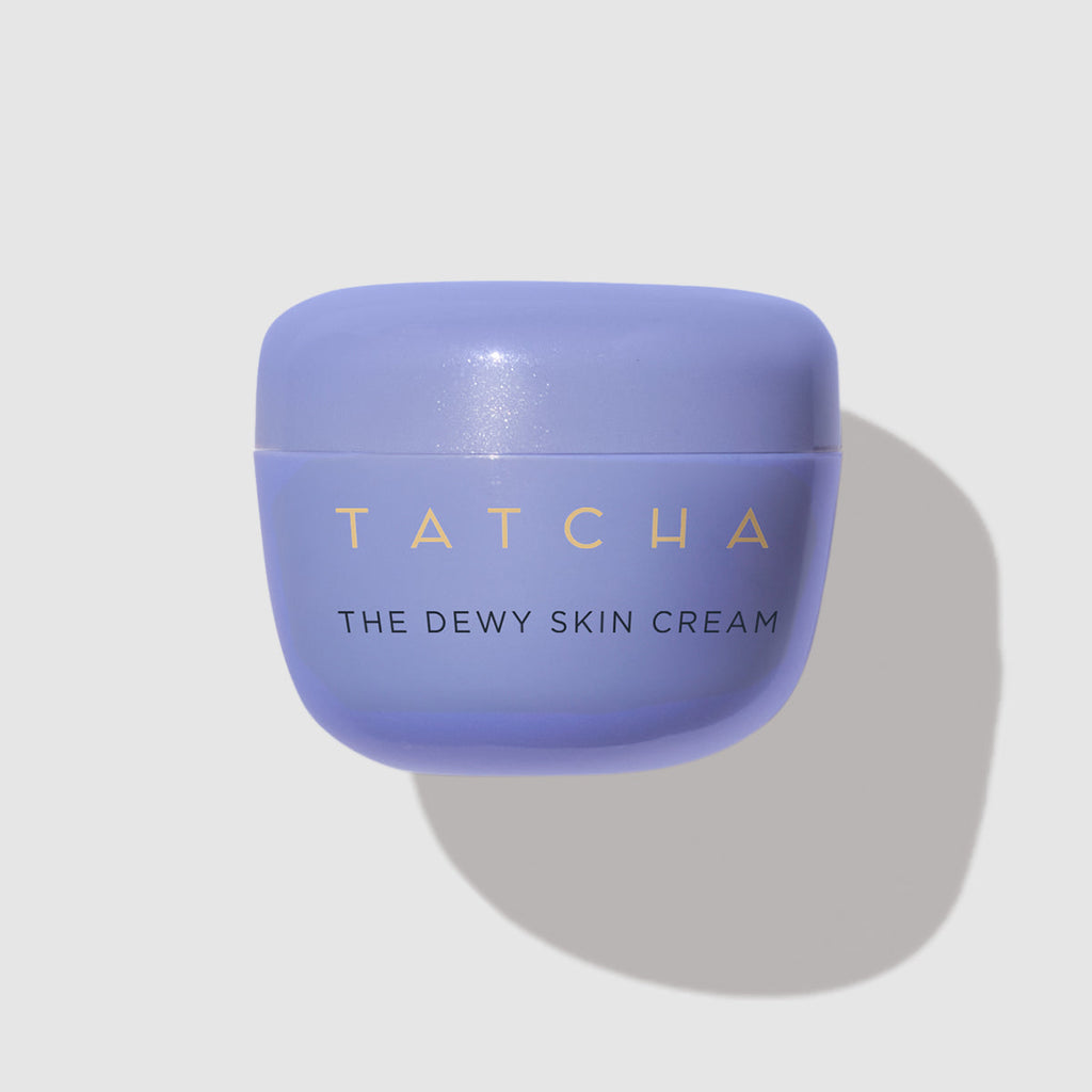 The Dewy Skin Cream Face Cream for Dry Skin and Combination to Dry Skin