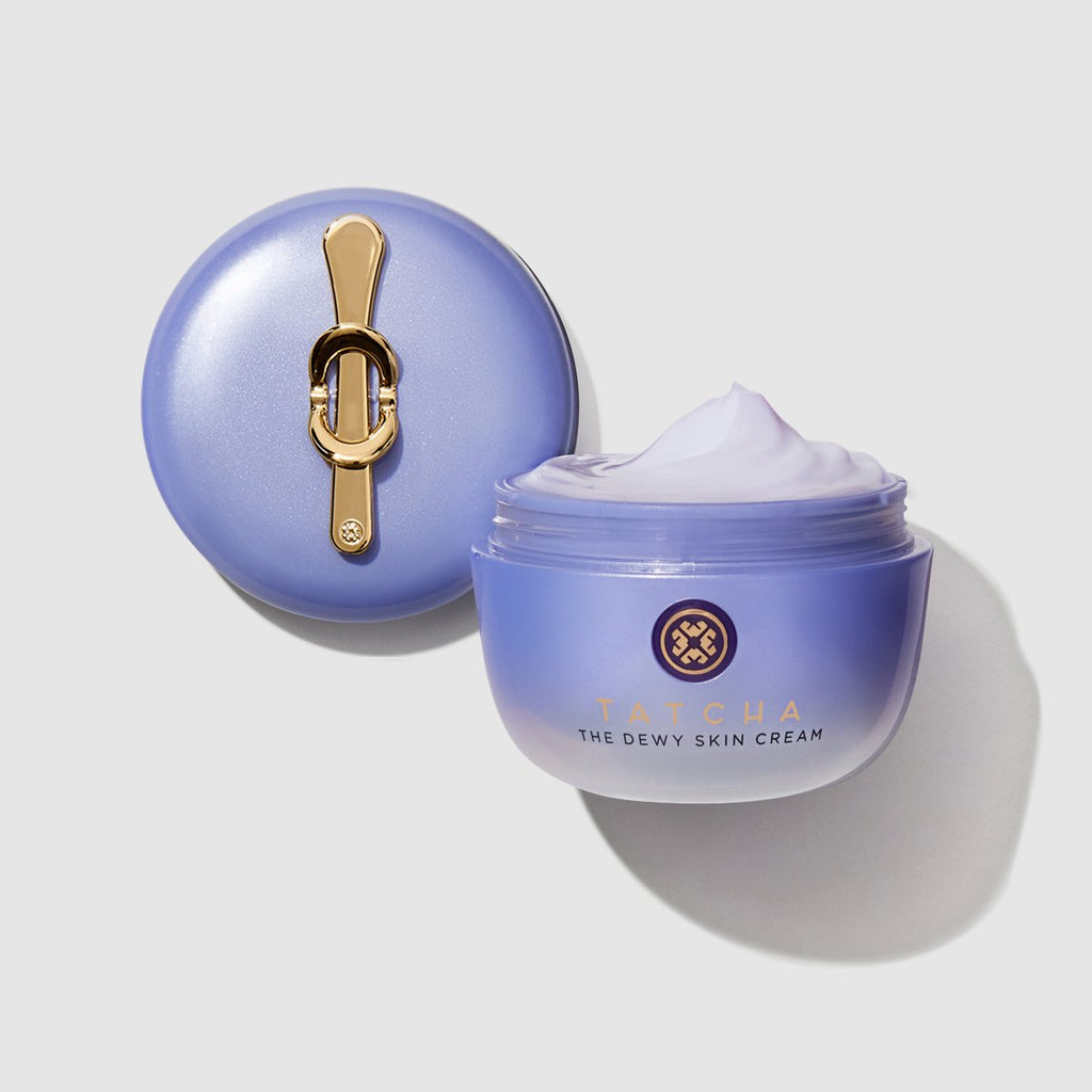 The Dewy Skin Cream Face Cream for Dry Skin and Combination to Dry Skin
