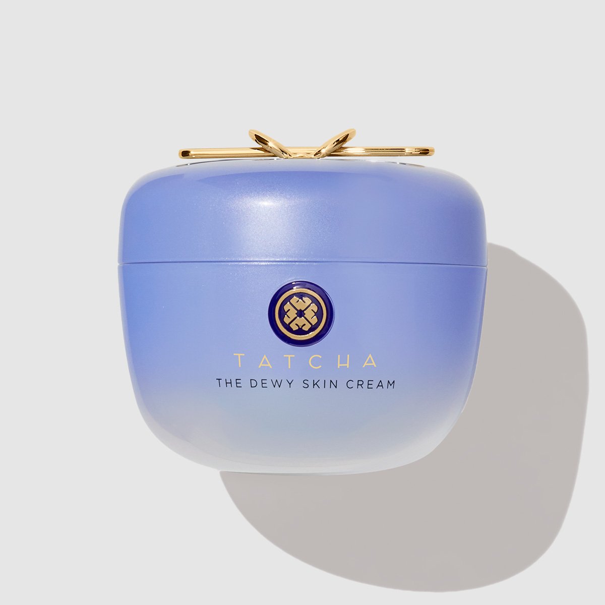 The Dewy Skin Cream Face Cream for Dry Skin and Combination to Dry Skin