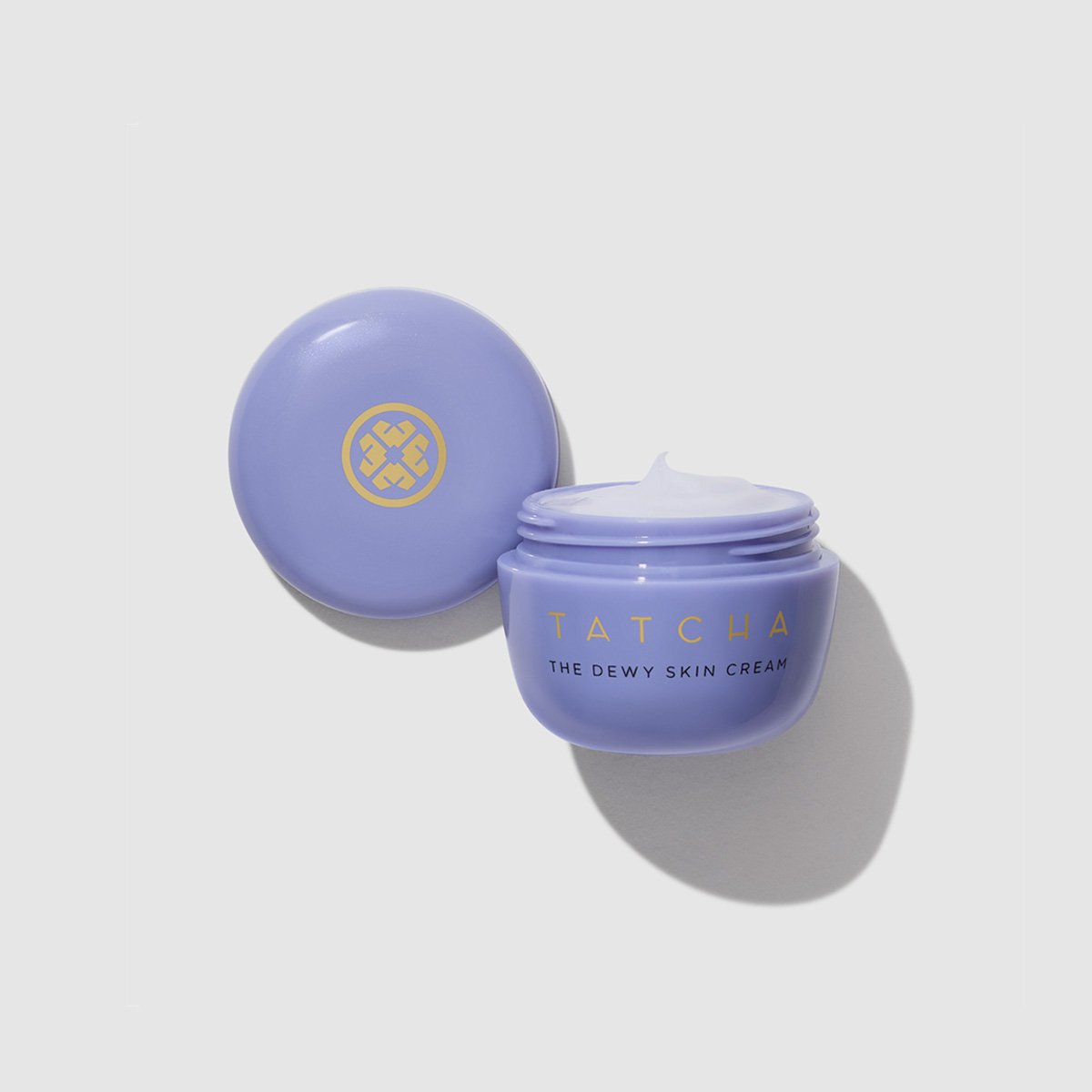 The Dewy Skin Cream Face Cream for Dry Skin and Combination to Dry Skin