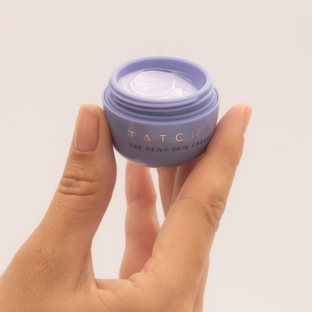 The Dewy Skin Cream Face Cream for Dry Skin and Combination to Dry Skin