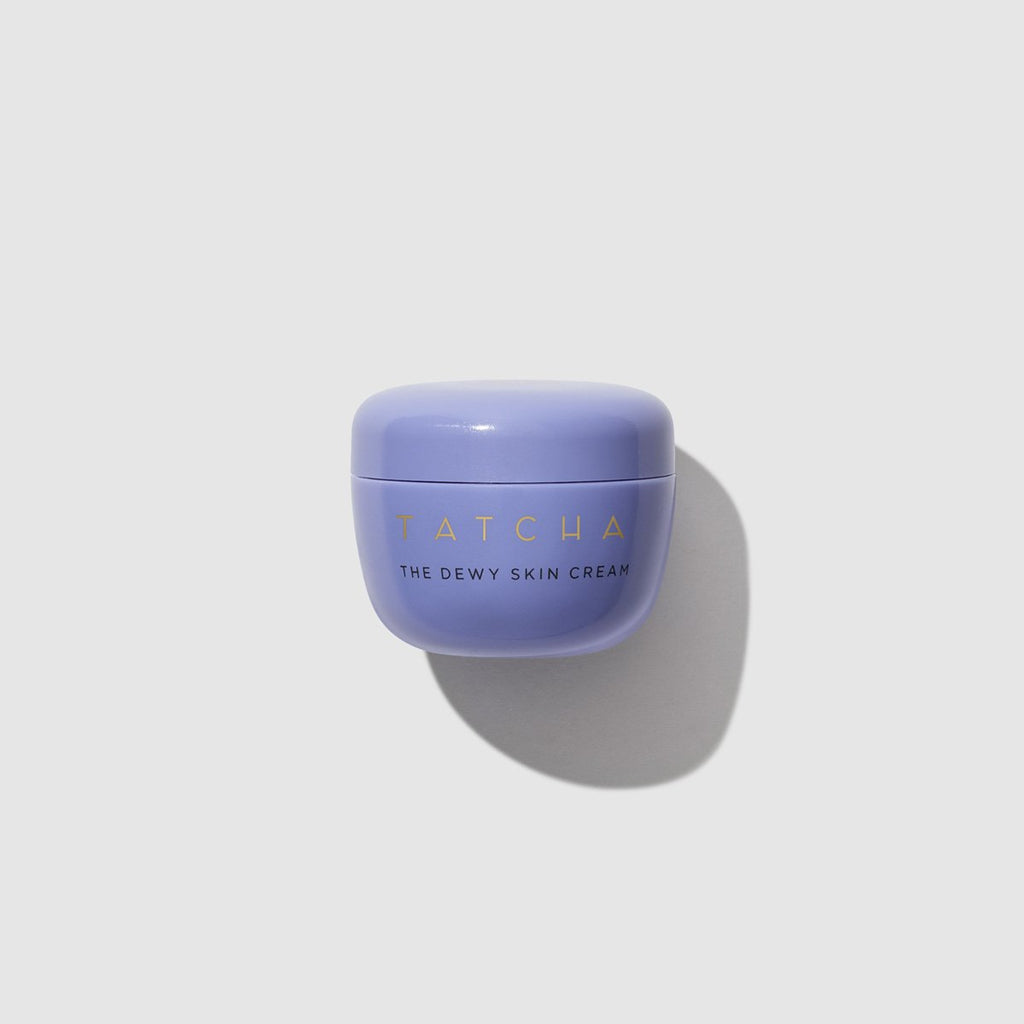 The Dewy Skin Cream Face Cream for Dry Skin and Combination to Dry Skin