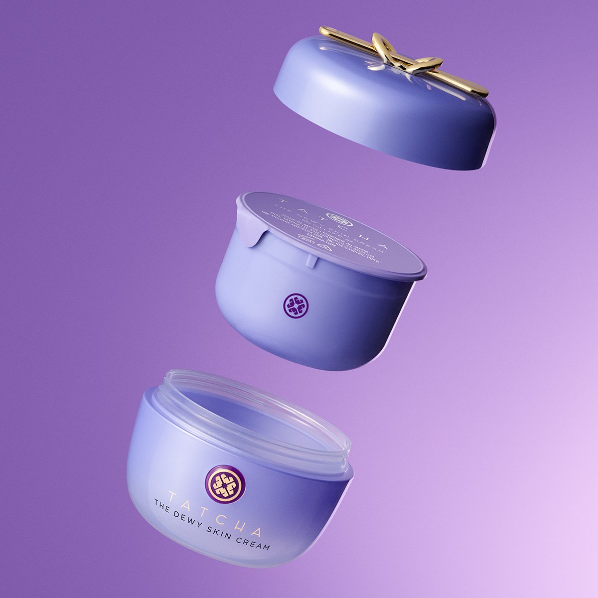 The Dewy Skin Cream Face Cream for Dry Skin and Combination to Dry Skin