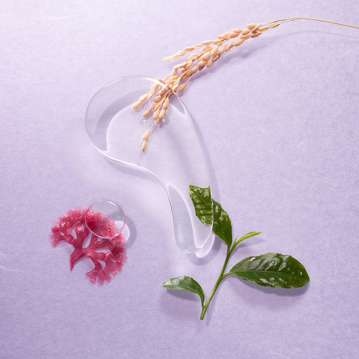 The Essence Facial Essence for Daily Skin Care and Fuller Looking Skin