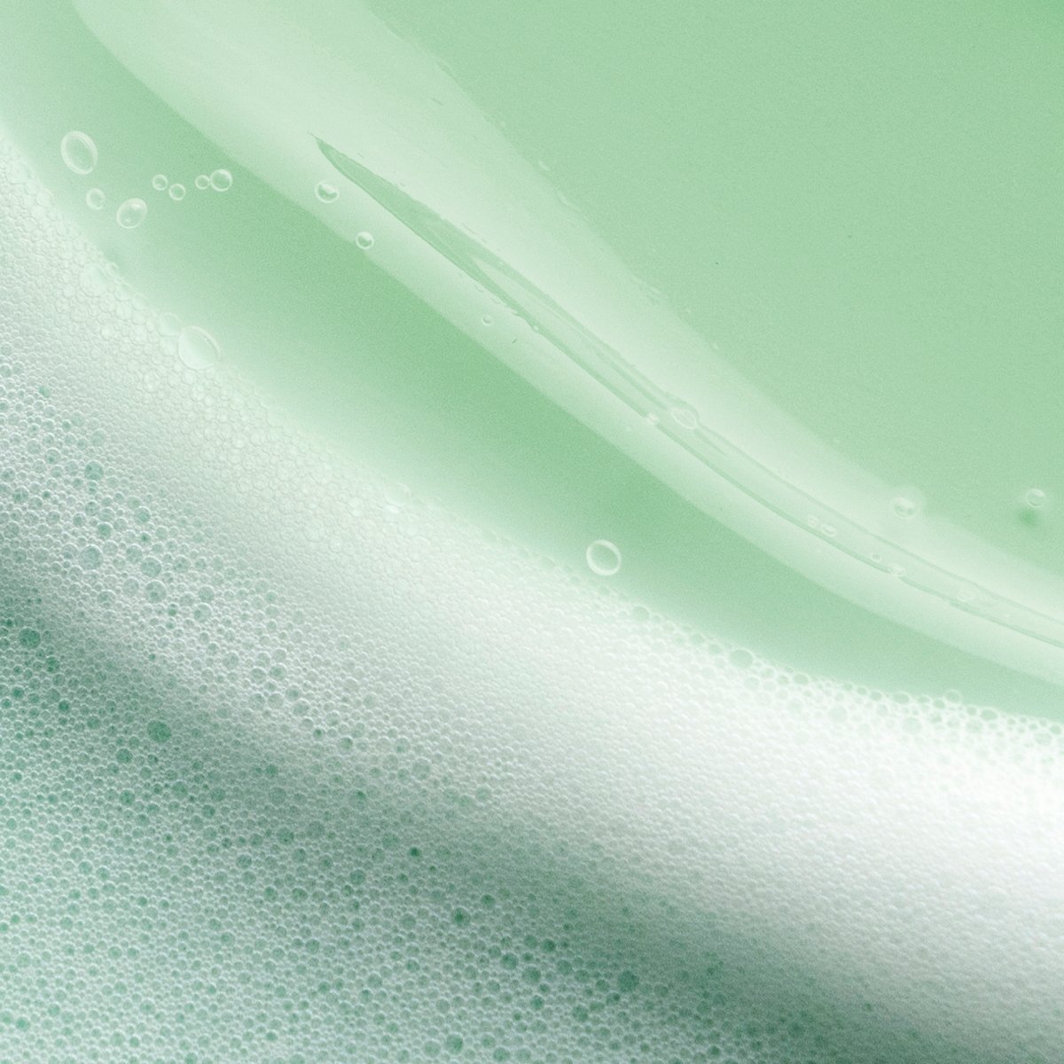 The Matcha Cleanse Facial Cleanser for A Range of Skin Types and Fresh Looking Skin
