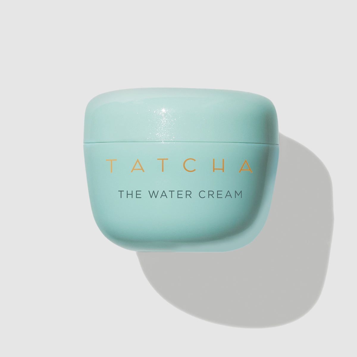 The Water Cream Face Cream for Combination to Oily Skin and Moisture Support