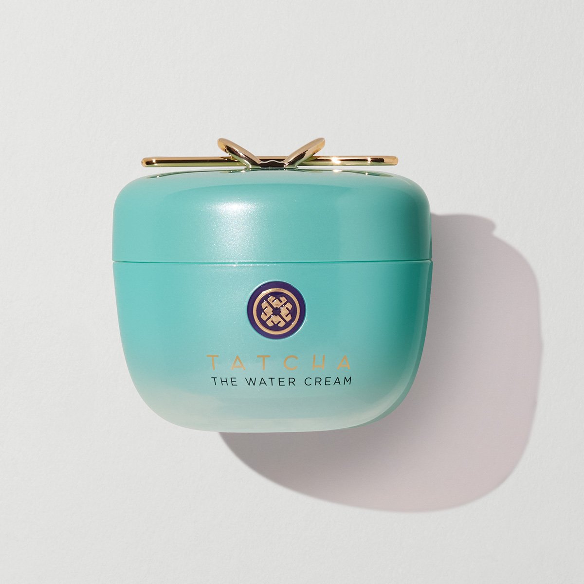 The Water Cream Face Cream for Combination to Oily Skin and Moisture Support